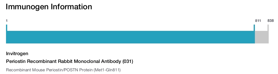 Periostin Recombinant Rabbit Monoclonal Antibody (031)
