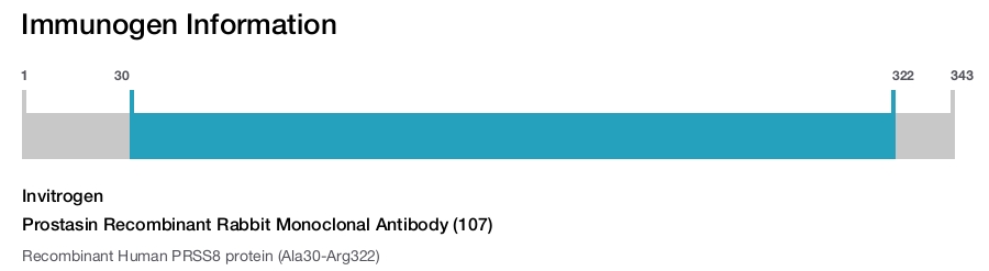 Prostasin Recombinant Rabbit Monoclonal Antibody (107)