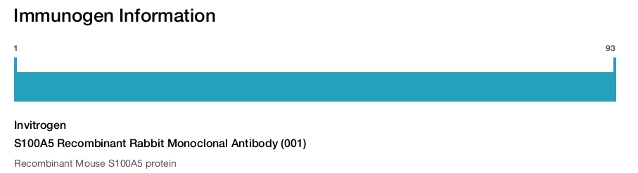 S100A5 Recombinant Rabbit Monoclonal Antibody (001)