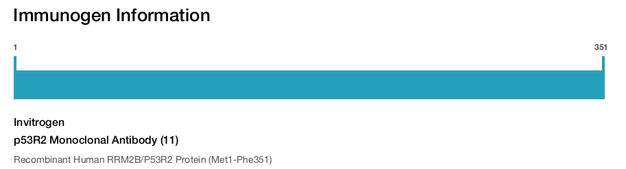 p53R2 Monoclonal Antibody (11)