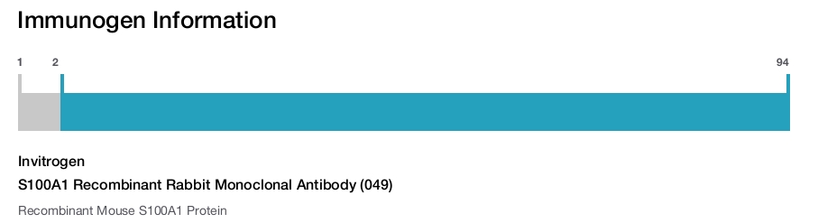 S100A1 Recombinant Rabbit Monoclonal Antibody (049)