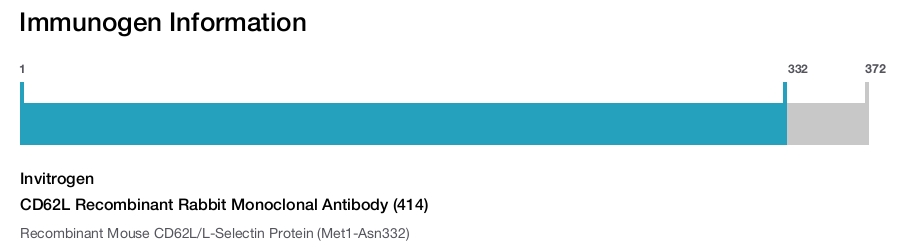 CD62L Recombinant Rabbit Monoclonal Antibody (414)