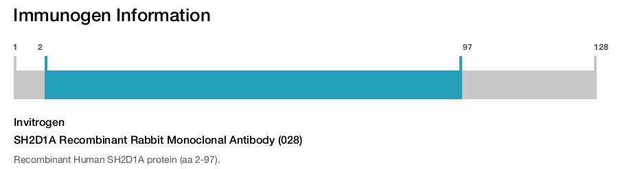 SH2D1A Recombinant Rabbit Monoclonal Antibody (028)