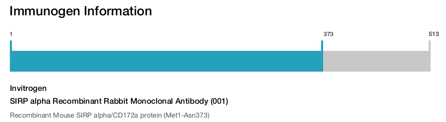 SIRP alpha Recombinant Rabbit Monoclonal Antibody (001)