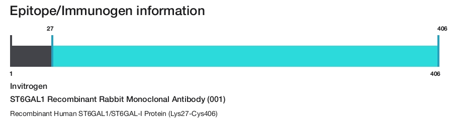 ST6GAL1 Recombinant Rabbit Monoclonal Antibody (001)