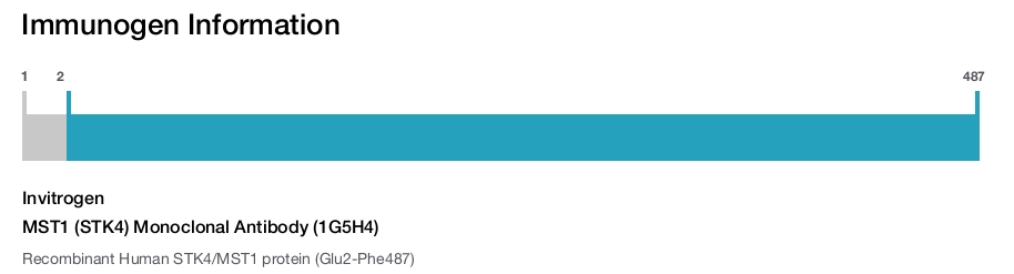 MST1 (STK4) Monoclonal Antibody (1G5H4)