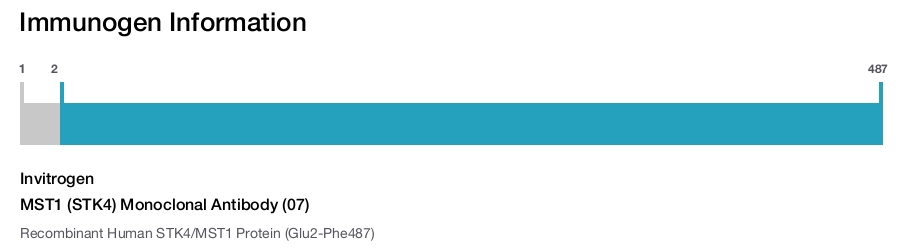 MST1 (STK4) Monoclonal Antibody (07)