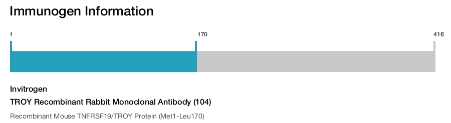 TROY Recombinant Rabbit Monoclonal Antibody (104)
