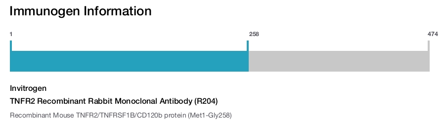 TNFR2 Recombinant Rabbit Monoclonal Antibody (R204)