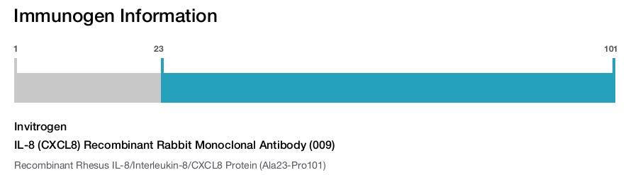 IL-8 (CXCL8) Recombinant Rabbit Monoclonal Antibody (009)
