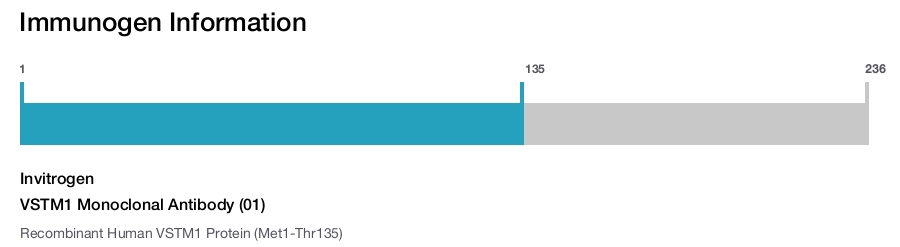 VSTM1 Monoclonal Antibody (01)