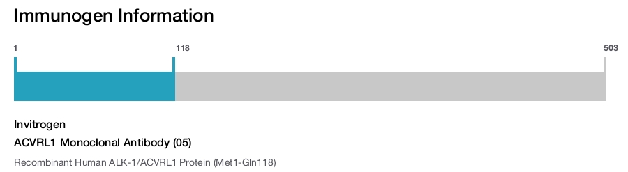 ACVRL1 Monoclonal Antibody (05)