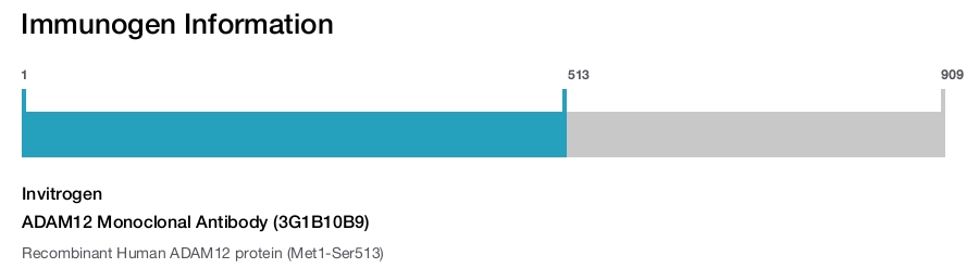 ADAM12 Monoclonal Antibody (3G1B10B9)