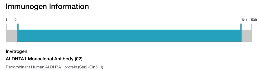 ALDH7A1 Monoclonal Antibody (02)