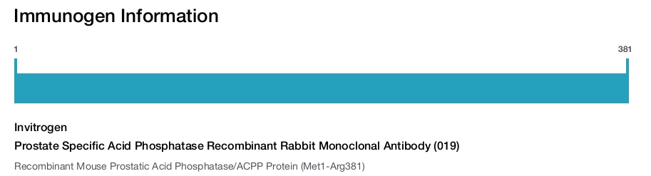 Prostate Specific Acid Phosphatase Recombinant Rabbit Monoclonal Antibody (019)