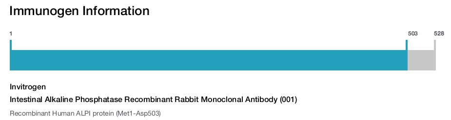 Intestinal Alkaline Phosphatase Recombinant Rabbit Monoclonal Antibody (001)