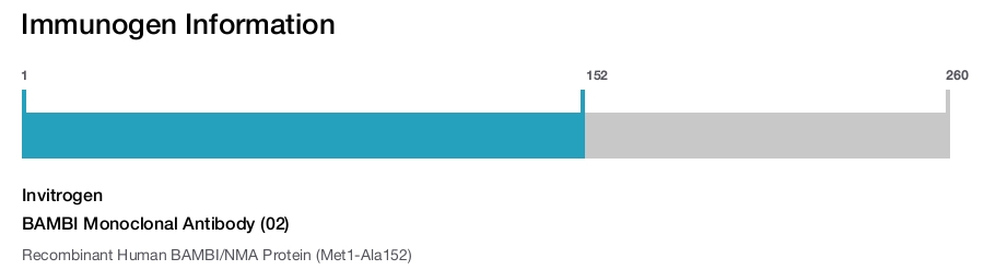BAMBI Monoclonal Antibody (02)