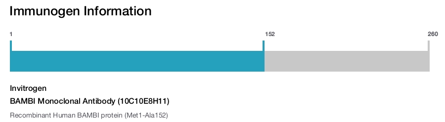 BAMBI Monoclonal Antibody (10C10E8H11)