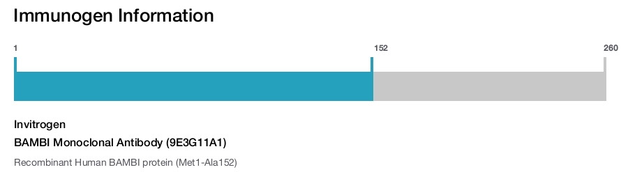 BAMBI Monoclonal Antibody (9E3G11A1)