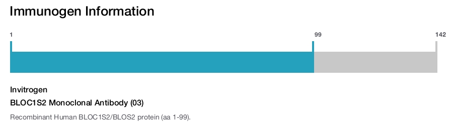 BLOC1S2 Monoclonal Antibody (03)