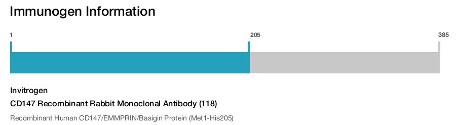 CD147 Recombinant Rabbit Monoclonal Antibody (118)