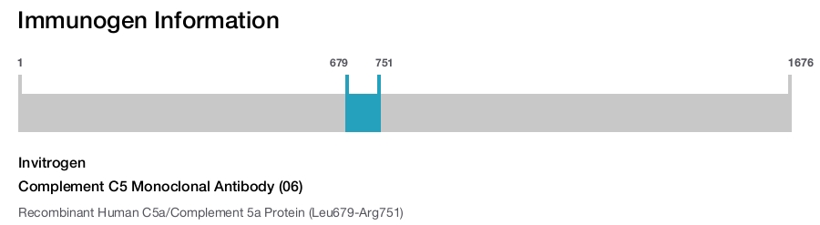 Complement C5 Monoclonal Antibody (06)