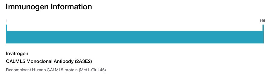 CALML5 Monoclonal Antibody (2A3E2)