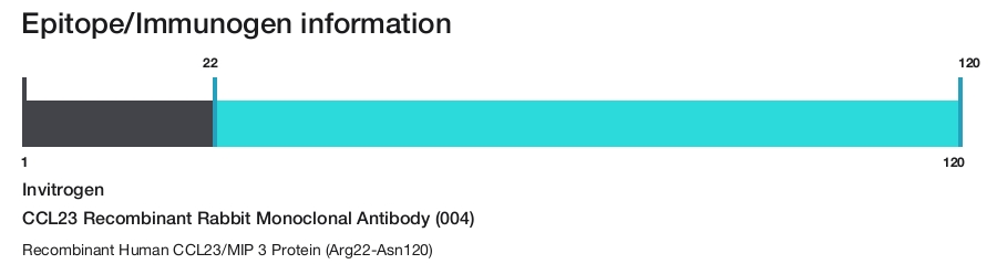 CCL23 Recombinant Rabbit Monoclonal Antibody (004)