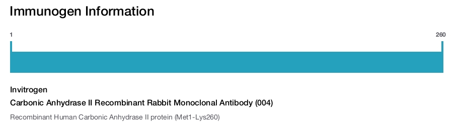 Carbonic Anhydrase II Recombinant Rabbit Monoclonal Antibody (004)
