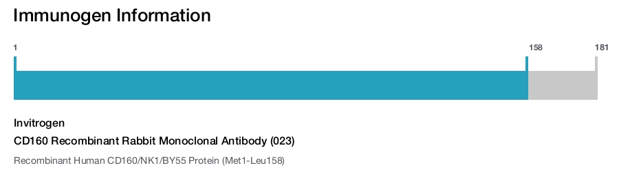 CD160 Recombinant Rabbit Monoclonal Antibody (023)