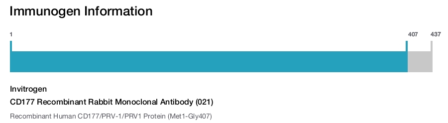 CD177 Recombinant Rabbit Monoclonal Antibody (021)