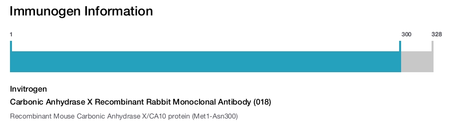 Carbonic Anhydrase X Recombinant Rabbit Monoclonal Antibody (018)