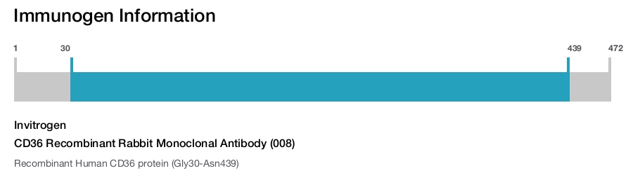 CD36 Recombinant Rabbit Monoclonal Antibody (008)
