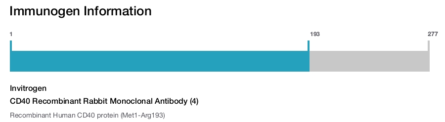 CD40 Recombinant Rabbit Monoclonal Antibody (4)