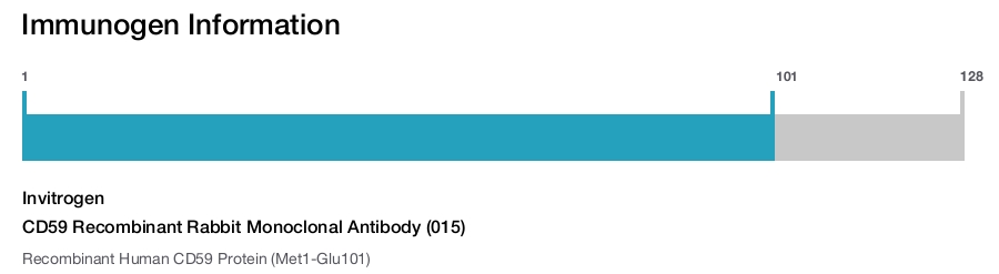 CD59 Recombinant Rabbit Monoclonal Antibody (015)