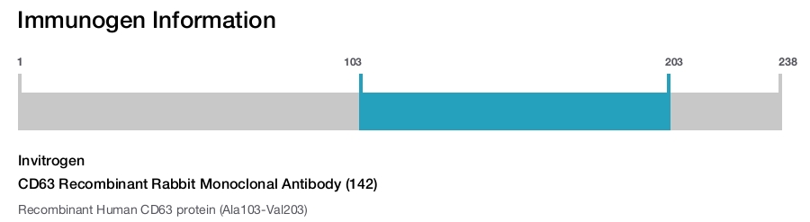 CD63 Recombinant Rabbit Monoclonal Antibody (142)