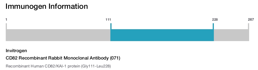 CD82 Recombinant Rabbit Monoclonal Antibody (071)