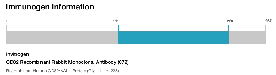 CD82 Recombinant Rabbit Monoclonal Antibody (072)