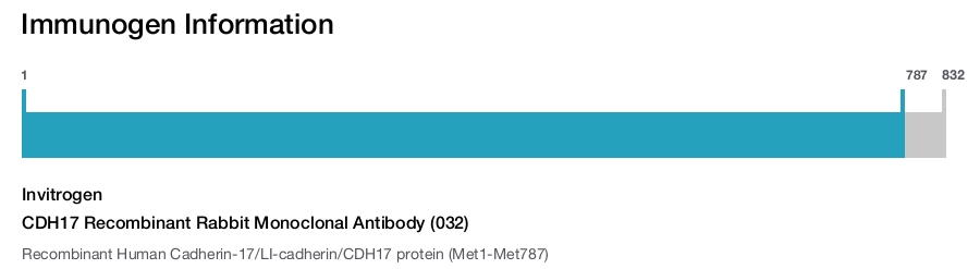 CDH17 Recombinant Rabbit Monoclonal Antibody (032)