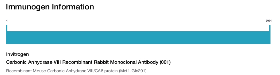 Carbonic Anhydrase VIII Recombinant Rabbit Monoclonal Antibody (001)
