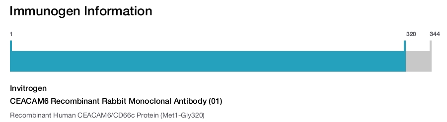 CEACAM6 Recombinant Rabbit Monoclonal Antibody (01)