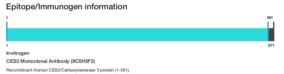 CES3 Monoclonal Antibody (9C5H5F2)