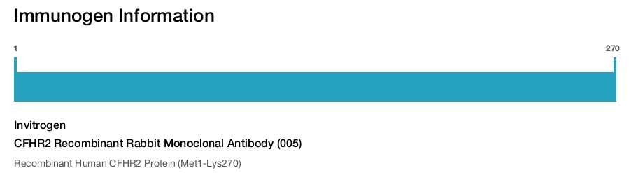 CFHR2 Recombinant Rabbit Monoclonal Antibody (005)