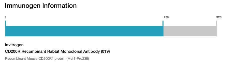 CD200R Recombinant Rabbit Monoclonal Antibody (019)