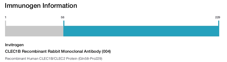 CLEC1B Recombinant Rabbit Monoclonal Antibody (004)
