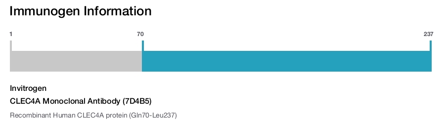 CLEC4A Monoclonal Antibody (7D4B5)