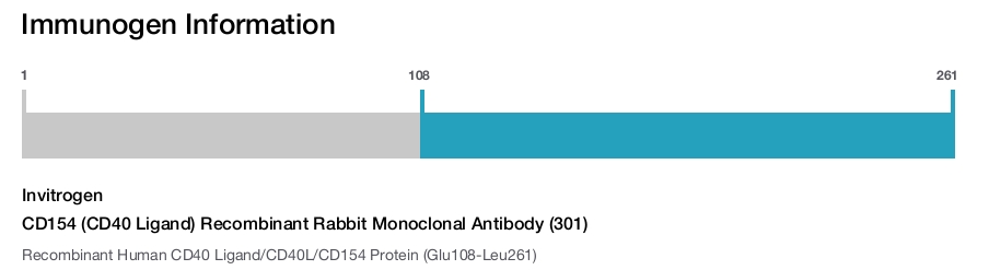 CD154 (CD40 Ligand) Recombinant Rabbit Monoclonal Antibody (301)