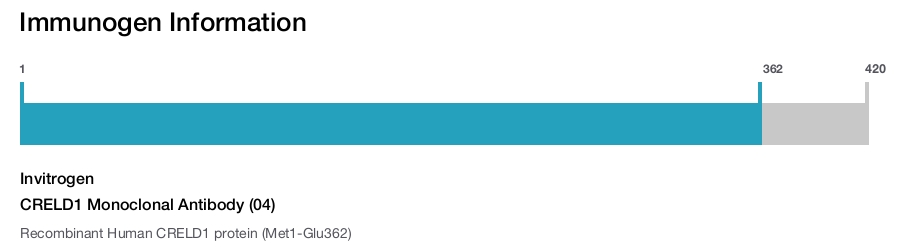 CRELD1 Monoclonal Antibody (04)