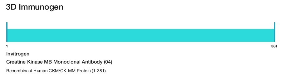 Creatine Kinase MB Monoclonal Antibody (04)