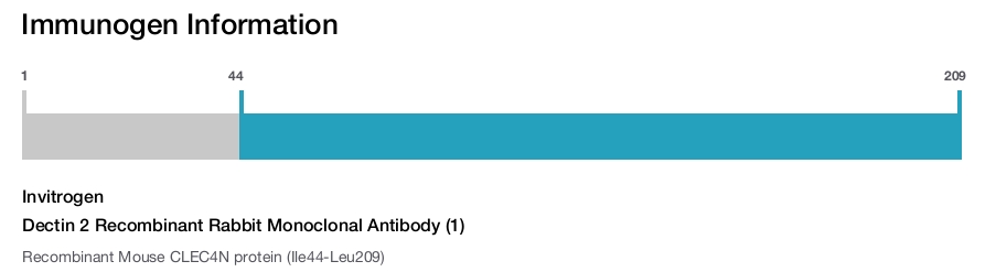 Dectin 2 Recombinant Rabbit Monoclonal Antibody (1)